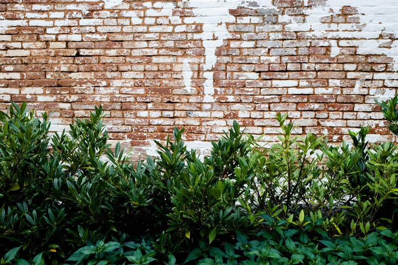 Urban Nature Contrast