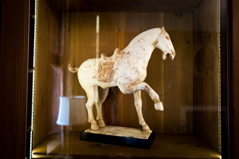 Timeless Elegance of a Horse