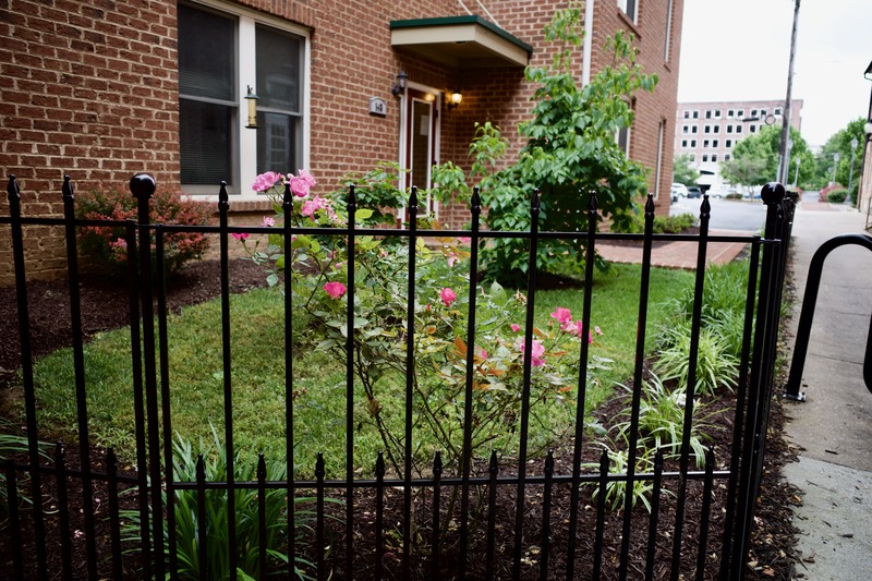 Urban Bloom Behind Bars