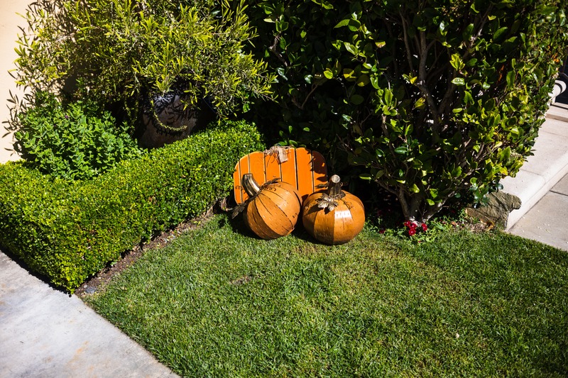 Whimsical Autumn Corner