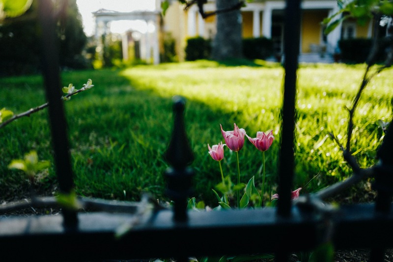 Through the Iron Gate