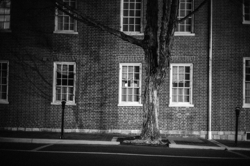 Whispers of Solitude