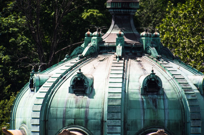 Verdant Dome Above