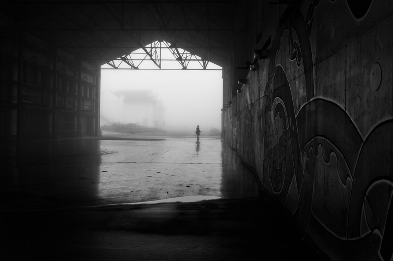 Lonely Echoes of Fog