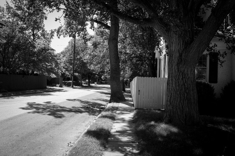 Quiet Suburban Serenity