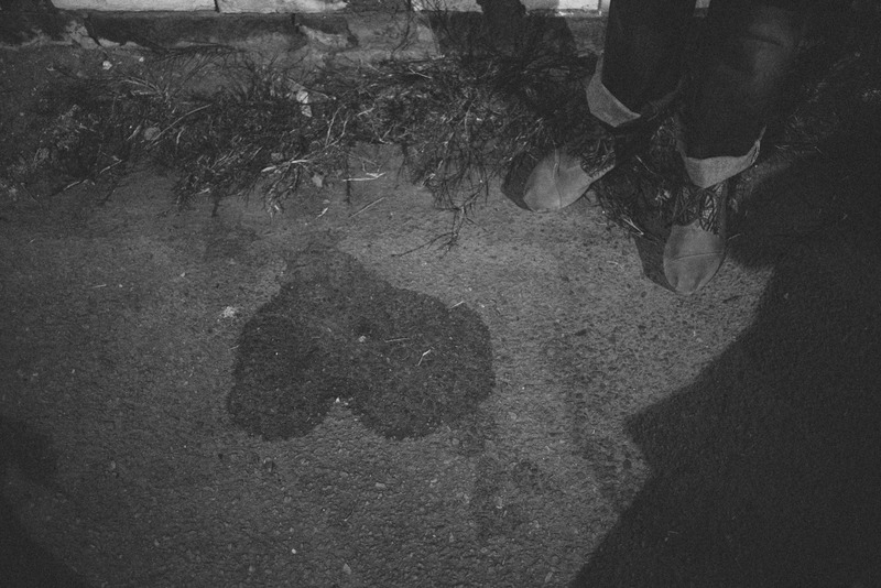 Shadows of the Night