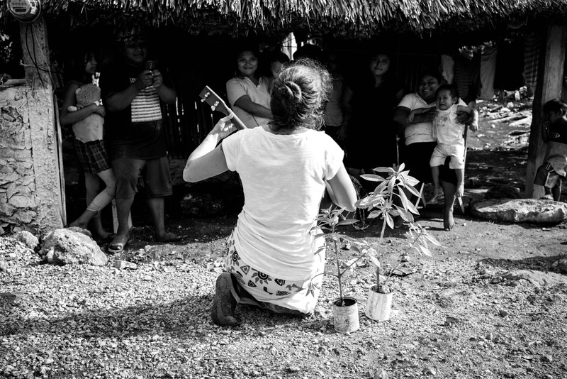 Harmony in Simplicity