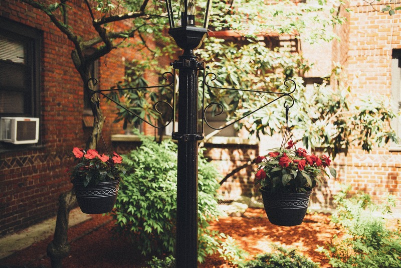 Urban Garden Serenity