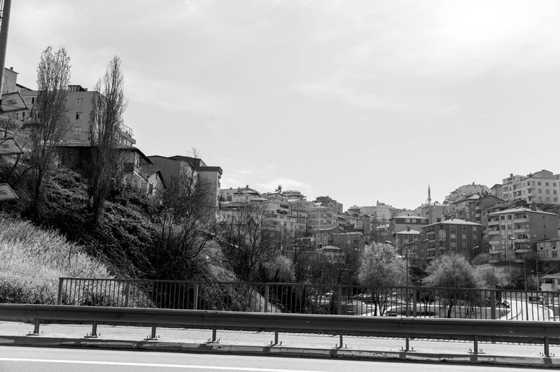 Urban Tranquility in Monochrome