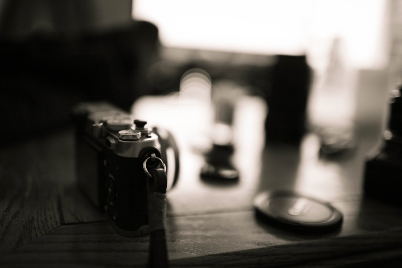 Fleeting Moments in Focus