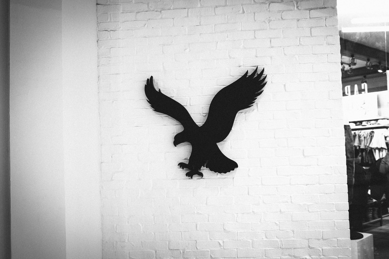 Silhouette of Freedom