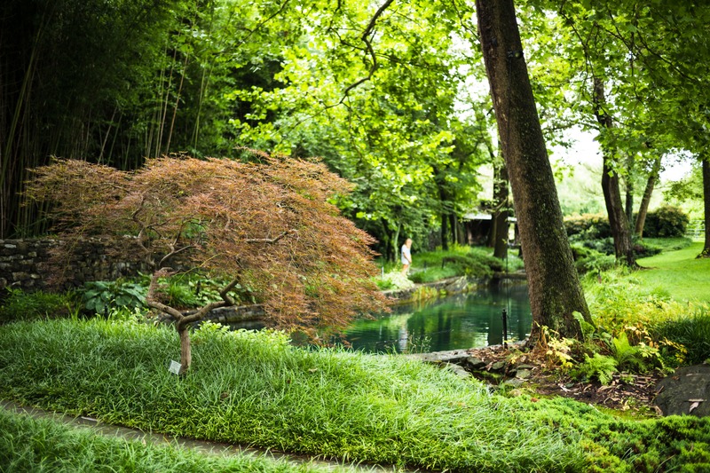 Serene Garden Retreat