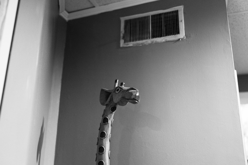 Nostalgic Giraffe Encounter