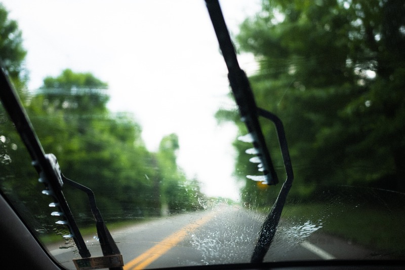 Rainy Drive Through Greenery