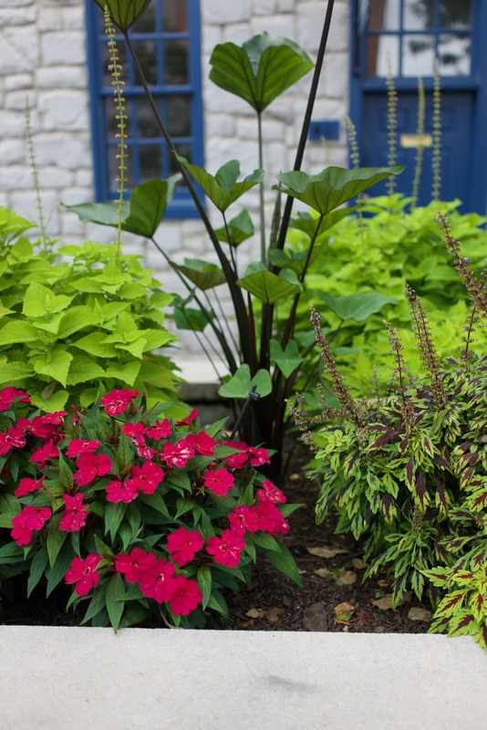 Vibrant Garden Serenity