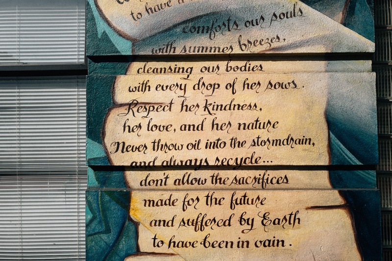 Earth's Plea for Respect