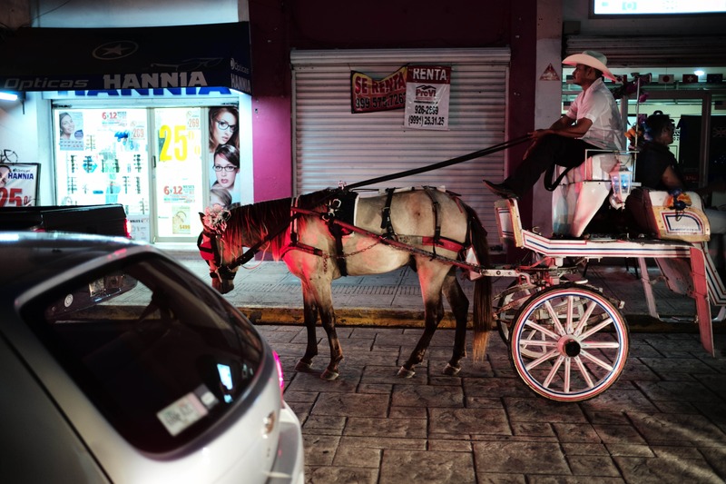 Nighttime Carriage Ride