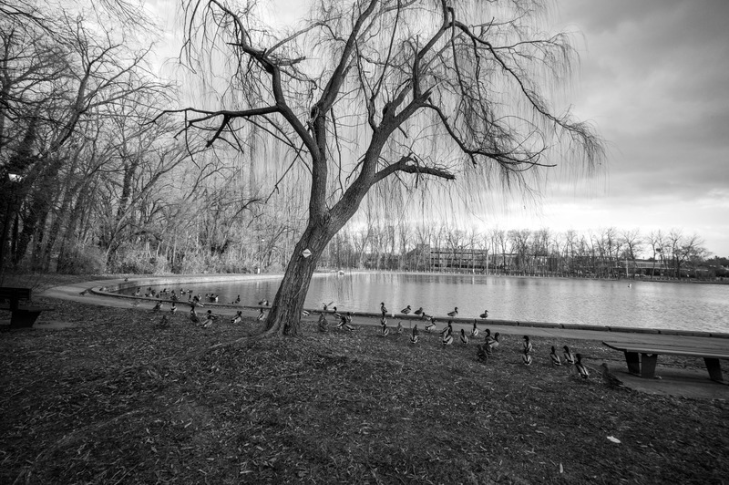 Solitude by the Water