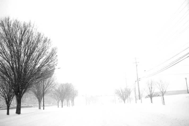 Silhouettes of Winter