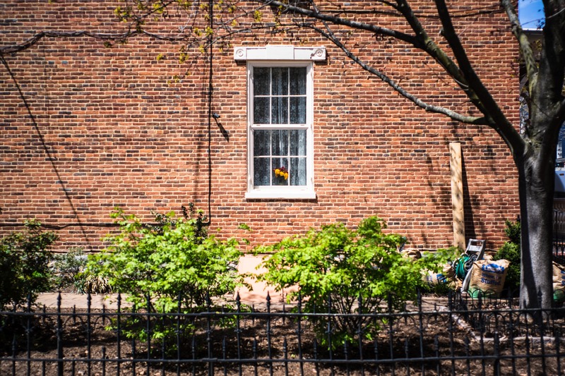 Quiet Corner of Home