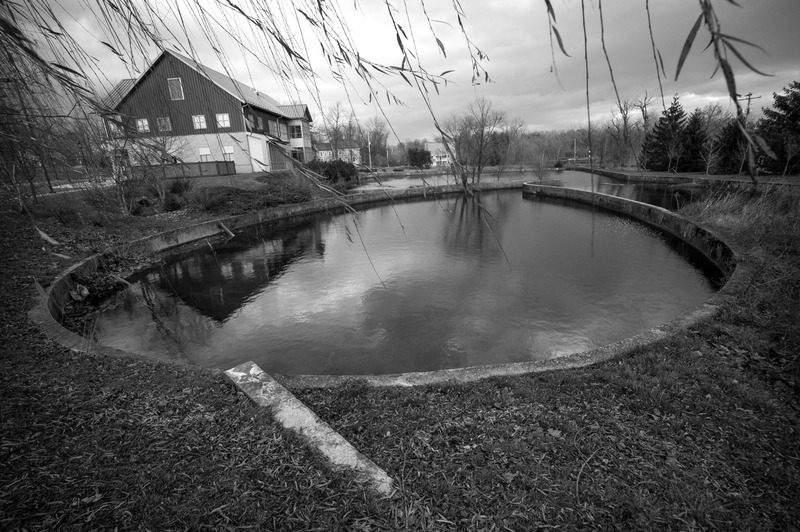 Reflections of Solitude