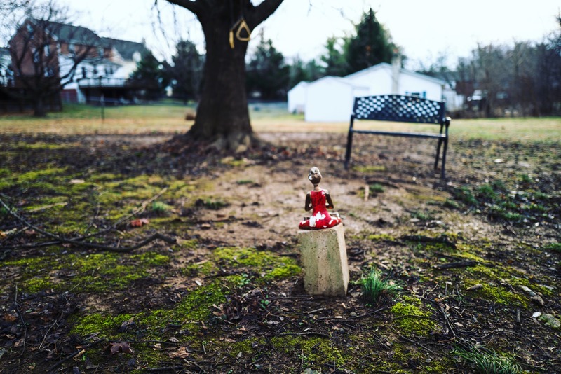 Solitude in the Garden