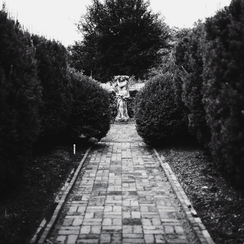 Whispers of the Garden