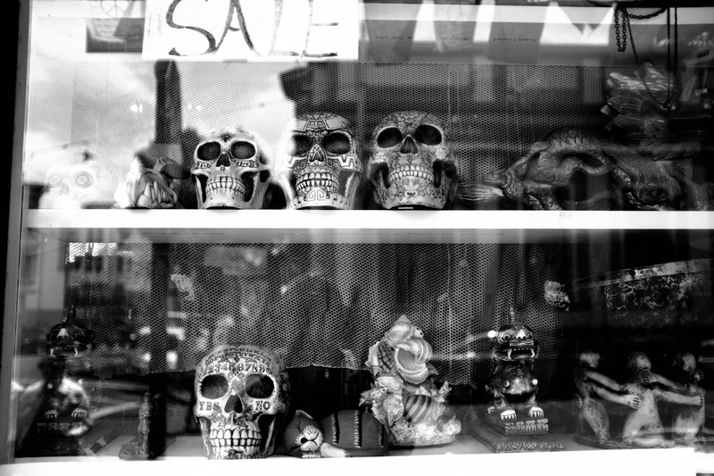 Whimsical Mortality on Display