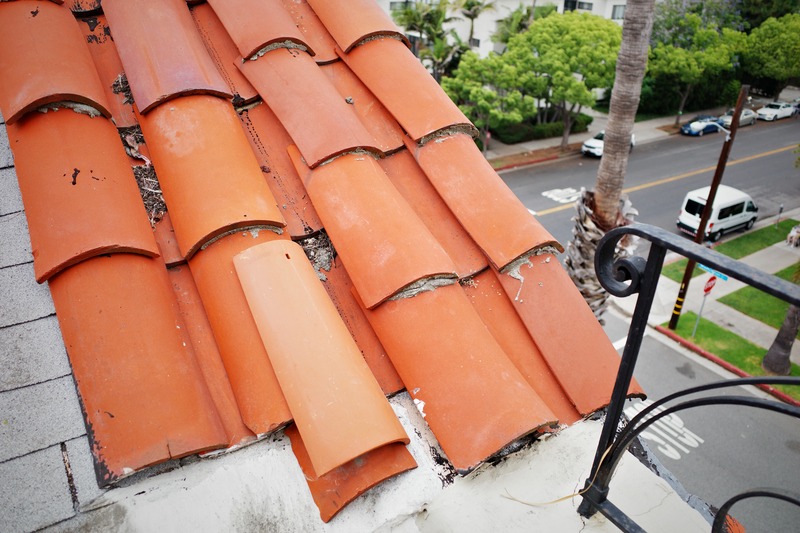 Urban Rooftop Perspective