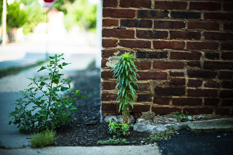 Resilience in Urban Space