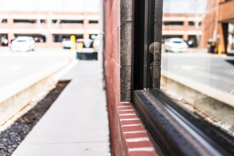 Reflections of Mortality