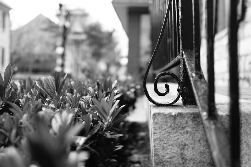 Intricate Ironwork and Nature