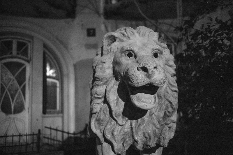 Whispers of the Night