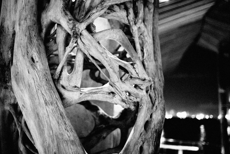 Intricate Driftwood Patterns