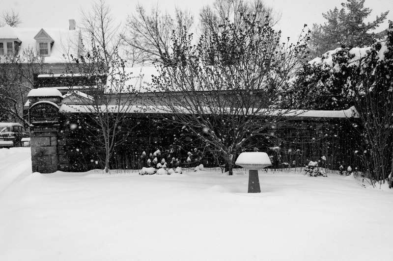 Silent Snowfall Serenity