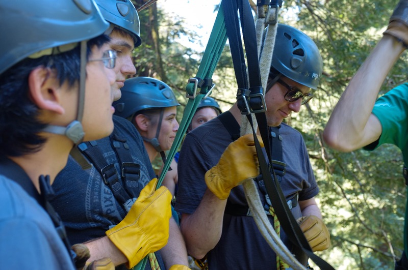 Anticipation in Adventure