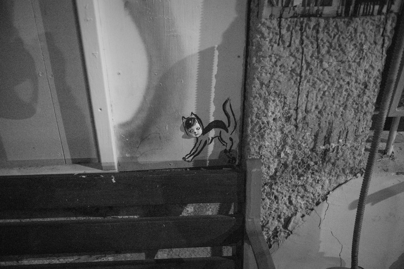 Whimsical Urban Shadow