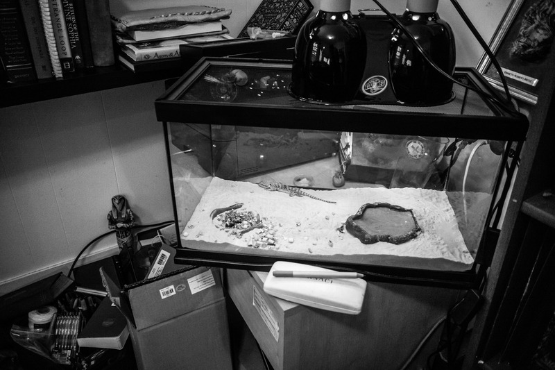 Quiet Refuge in Monochrome