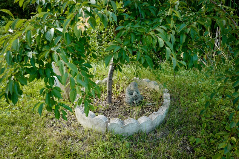 Peaceful Garden Nook