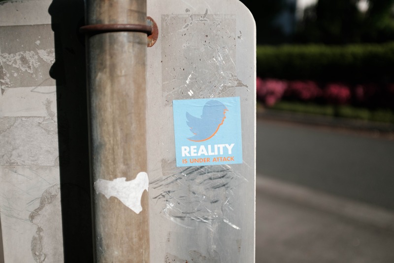 Reality's Stark Warning