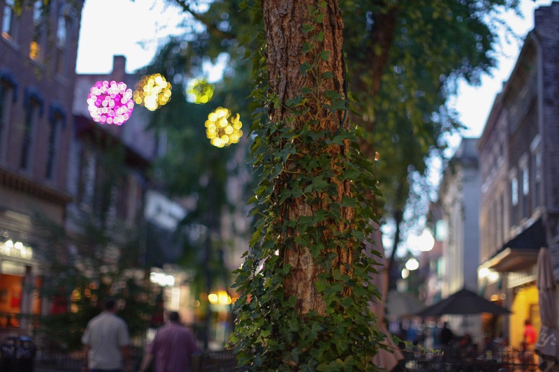 Evening Glow in the City