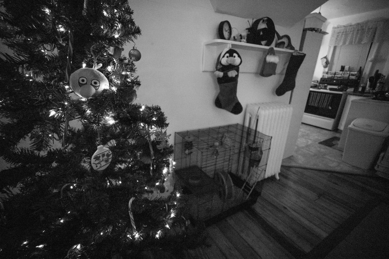 Quiet Holiday Memories