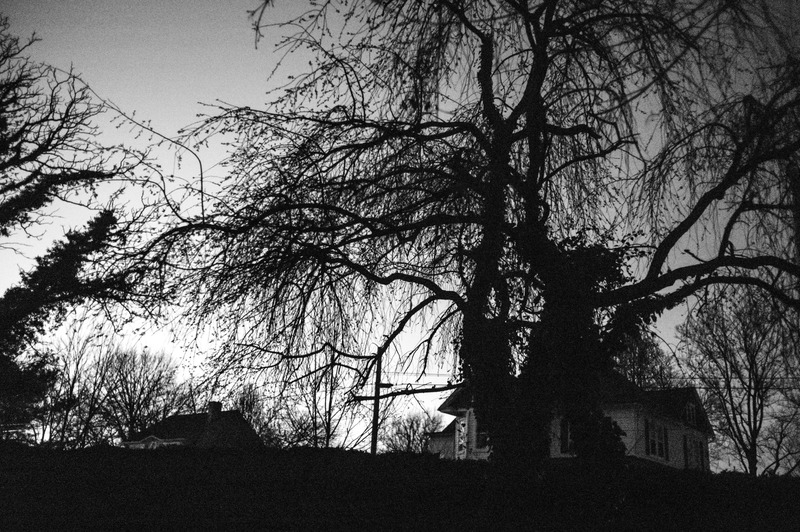 Silhouetted Serenity at Dusk