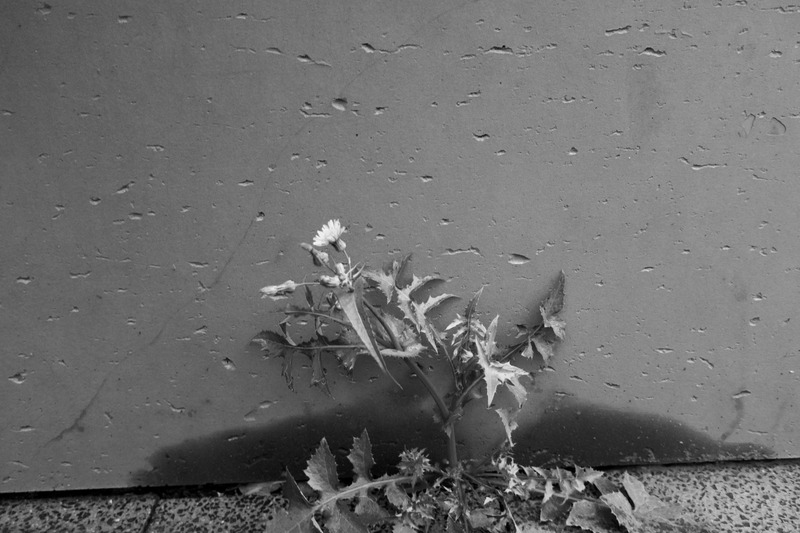 Resilience Against Concrete