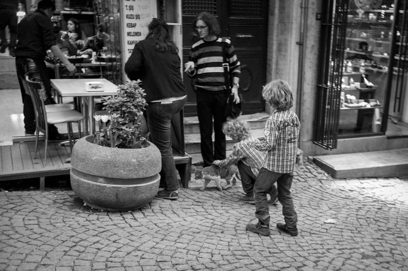 A Moment of Childhood Curiosity