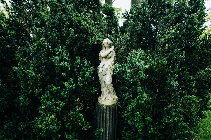 Guardian of the Grove