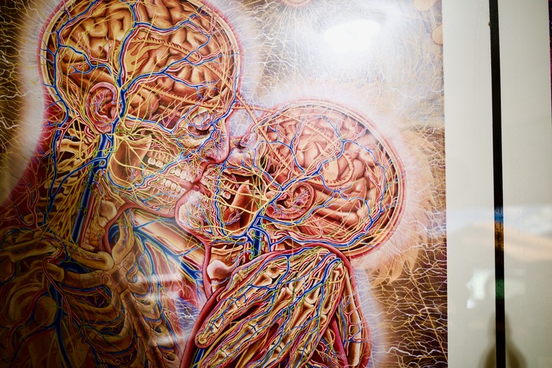 Anatomy of Connection