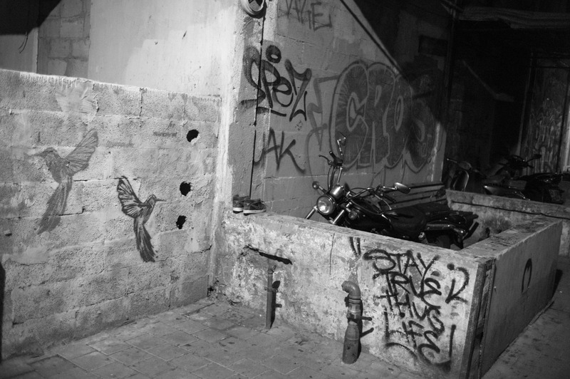 Urban Shadows and Freedom