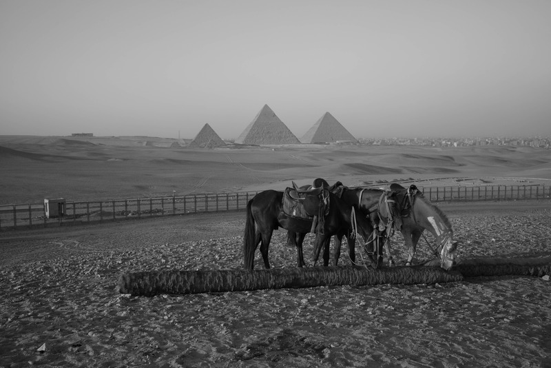 Silhouetted Serenity at the Pyramids