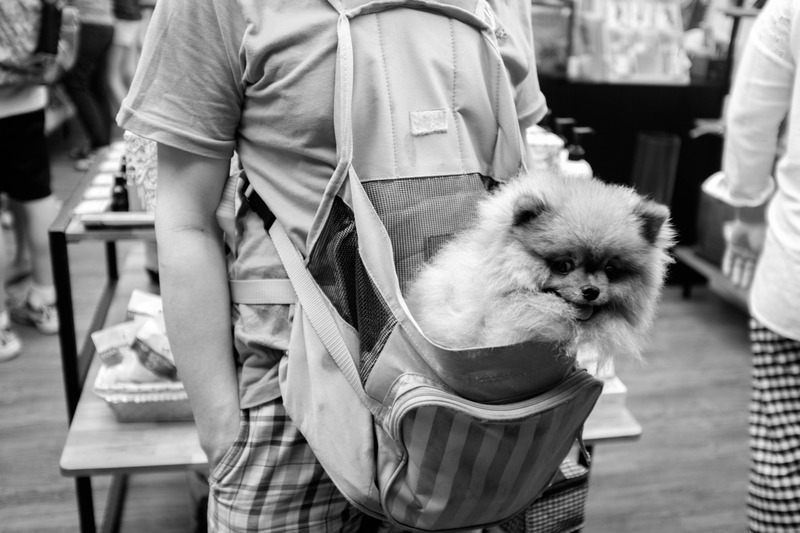 Comfort in the Crowd